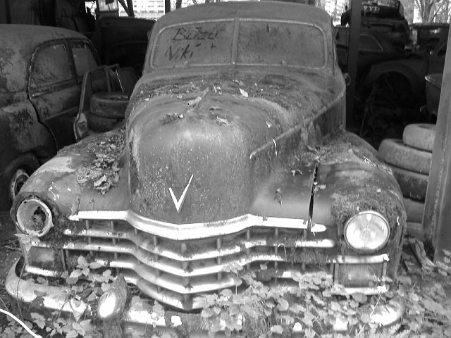 Autofriedhof - 200.JPG - Historischer Autofriedhof,    Gürbetal (CH)